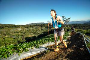 BIB: 
                            <button type="button" onclick="openModal(19111182)" class="btn btn-primary btn-sm float-right btn-popup" data-toggle="modal" data-target=".modal-high-quality">
                        <i class="fas fa-shopping-cart"></i> Add to Cart
                    </button>
                                            <button type="button" onclick="isThisMe(19111182, true)" class="btn btn-success btn-sm float-right btn-popup btn-isme hidden" data-toggle="tooltip" data-placement="bottom" title="นี่คือรูปของคุณใช่ไหม คลิกที่นี่เพื่อเอาเข้าอัลบั้ม">
                        <i class="fas fa-plus"></i> Add to album
                    </button>
                    <button type="button" onclick="isThisMe(19111182, false)" class="btn btn-warning btn-sm float-right btn-popup btn-isnotme hidden">
                        <i class="fas fa-ban"></i> Remove from album
                    </button>